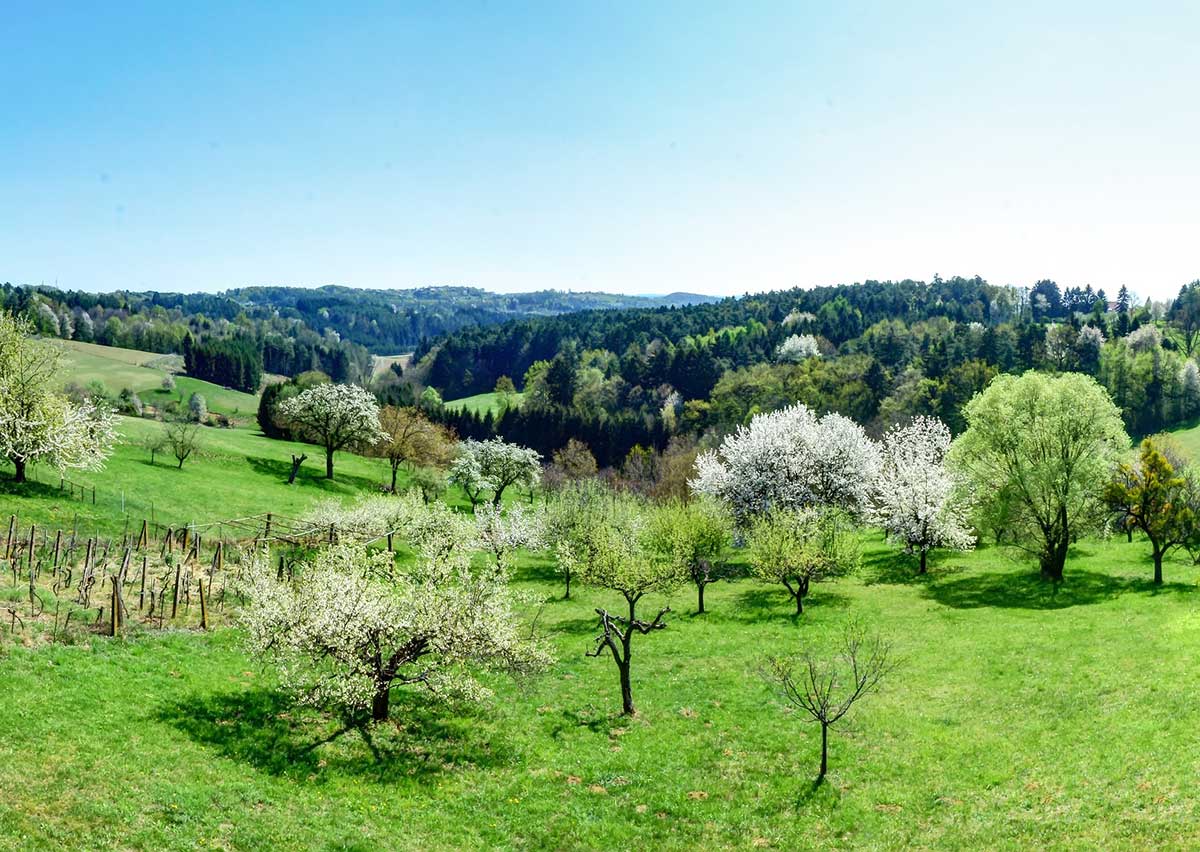 Sonnenpension Aussenansicht